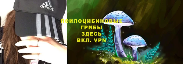 мяу мяу кристалл Алексин