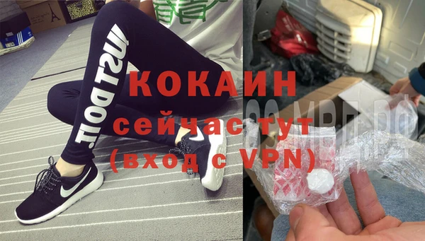 стафф Алзамай