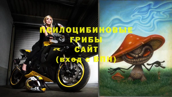 стафф Алзамай