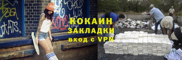 стафф Алзамай