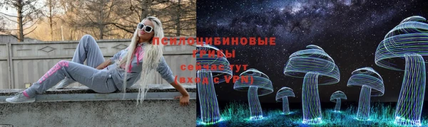 стафф Алзамай
