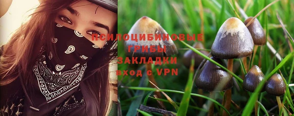 стафф Алзамай